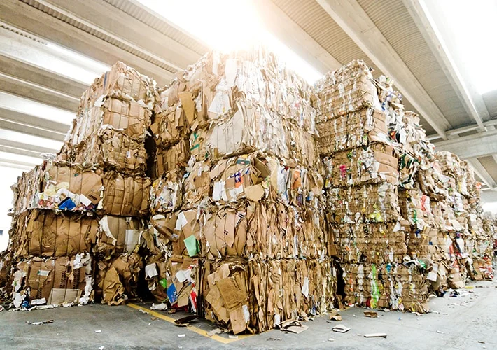 Bulk Cardboard Recycling Services