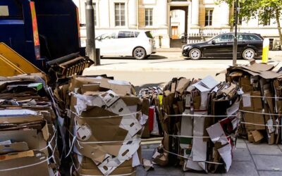Cardboard Recycling: 10 Things You Need To Know
