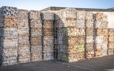 Navigating the Hurdles: Tackling Common Challenges in Paper Recycling