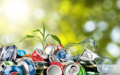 Overcoming the Challenges of Sustainable Waste Management